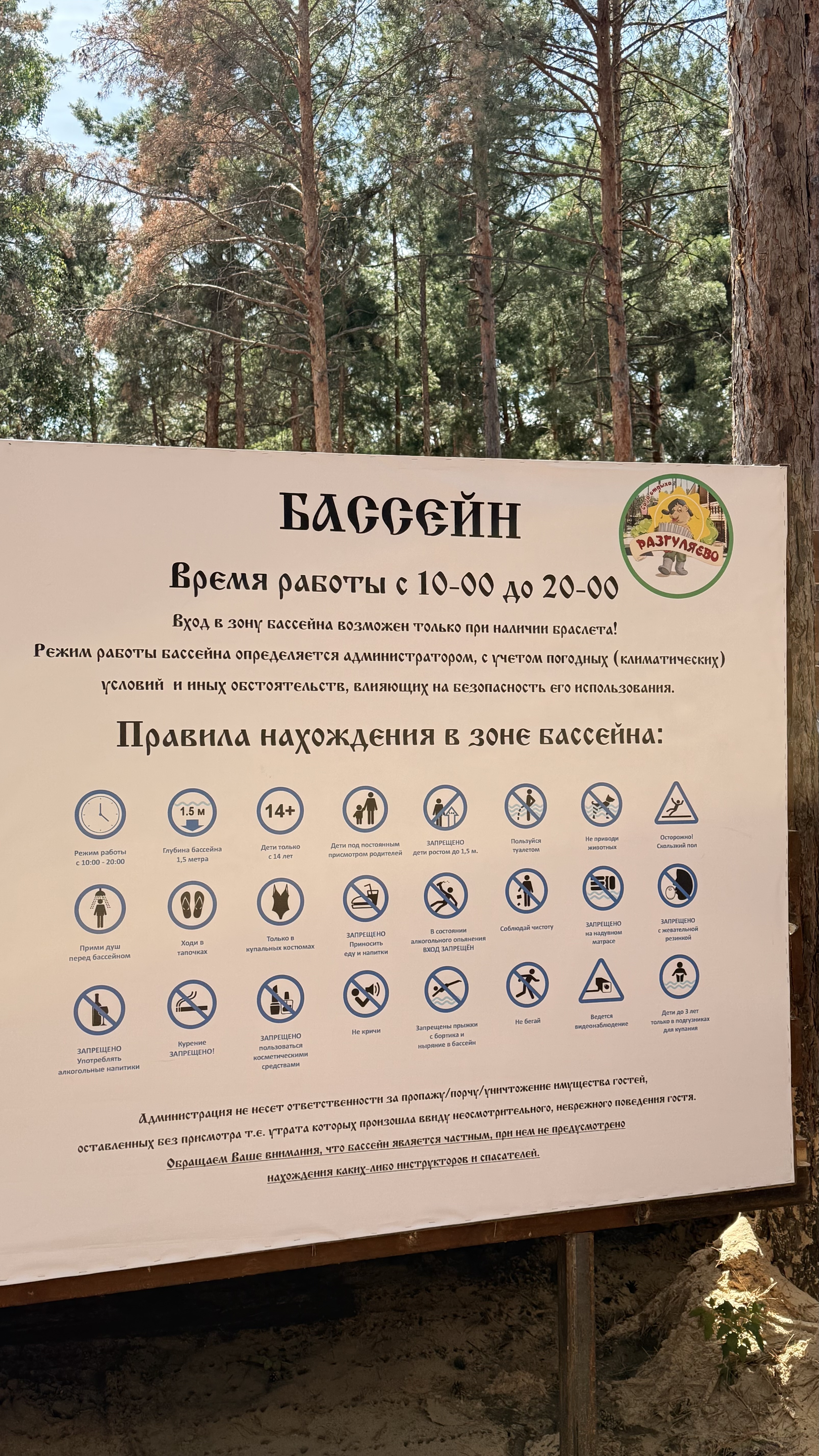 IMG_5379.jpeg